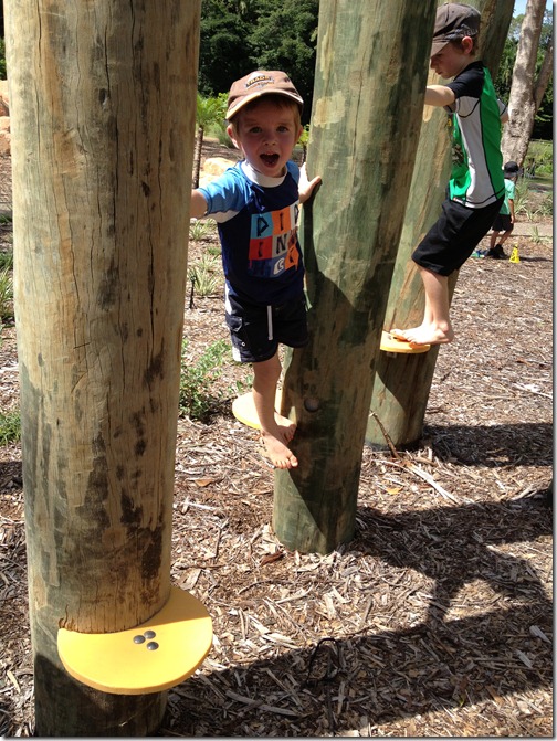 tree maze at Howard Springs