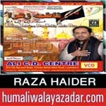 http://audionohay.blogspot.com/2014/10/raza-haider-nohay-2015.html