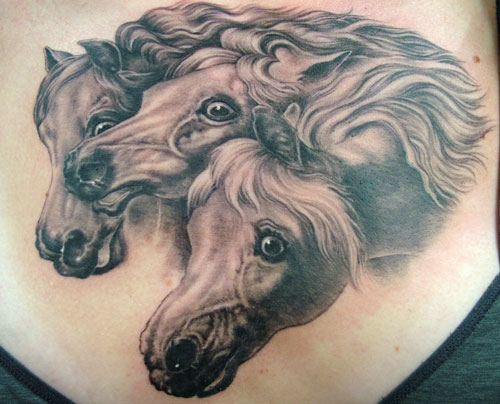 Wild horse tattoo.