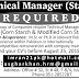 Technical Manager Job