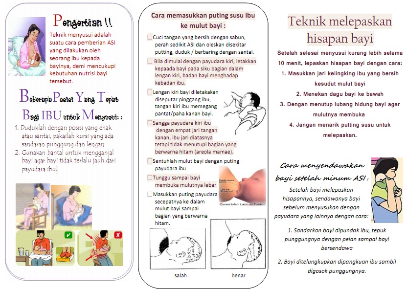 Kumpulan Materi Kebidanan: Leaflet Teknik Menyusui yang Benar