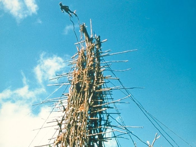 Land Diving In Vanuatu