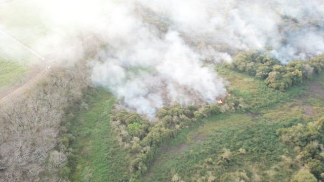 Incêndio no Parque Estadual do Aguapeí mobiliza Corpo de Bombeiros pelo 5º dia consecutivo