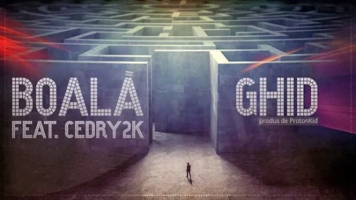 boala cedry2k