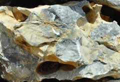STONE 29