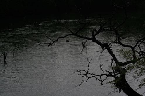 Way to Jog Falls - Karnataka