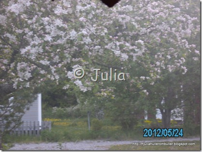 PICT0733