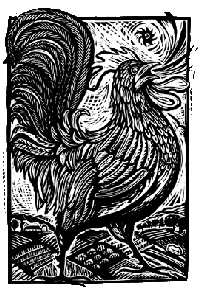 rfm rooster