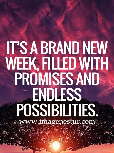 It’s a brand new week, filled with promises and endless possibilities.