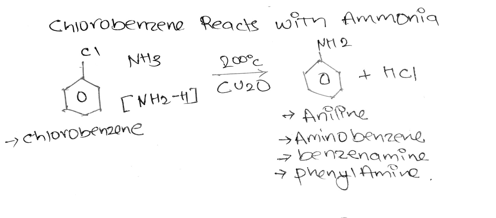 Chlorobenzene Reacts With Ammonia class 12 Chemistry