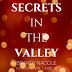 Cover Reveal - Secrets in the Valley by Brandy Nacole