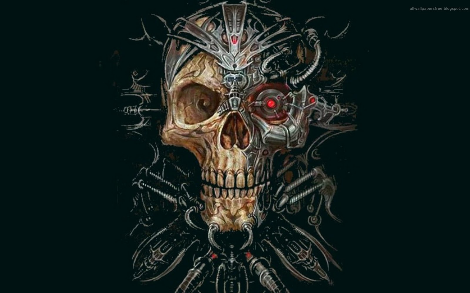 Free HD Wallpapers: Terror Skull Wallpaper