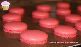 macaron-blanc-oeuf-en-poudre-deshydrate