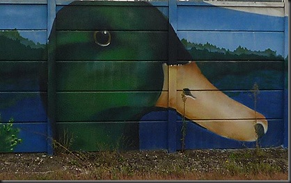 29  Grafitis