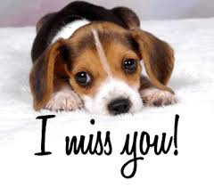 latest HD Miss You images photos wallpepar free download 14