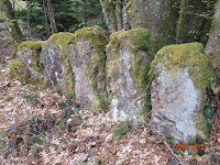 Anciens alignements de pierres dans les Vosges