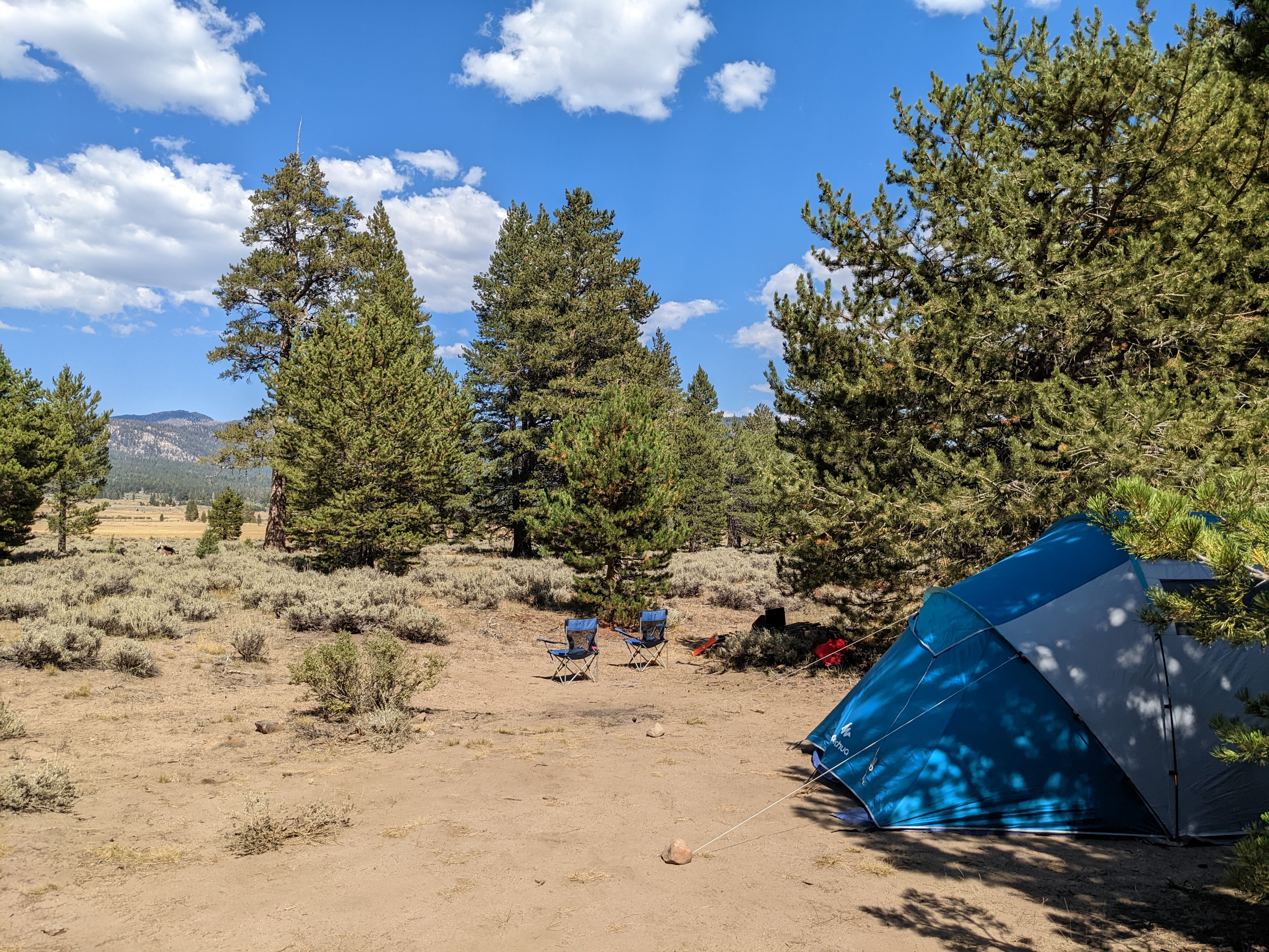 A nous la Californie: Camping sauvage en Californie à Hope Valley