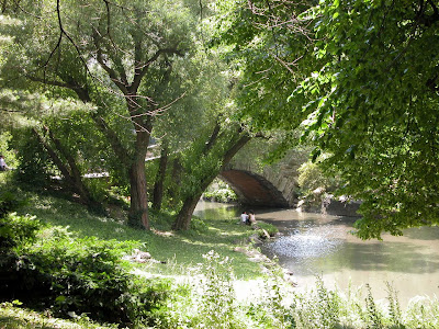 Central Park scene