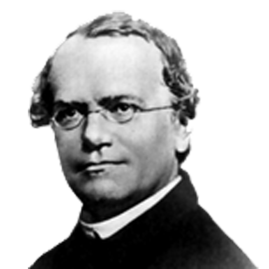 Biography of Gregor Johann Mendel - மரபியலின் தந்தை கிரிகோர் ஜோஹன் மெண்டல் வாழ்க்கை வரலாறு (1822-1884)