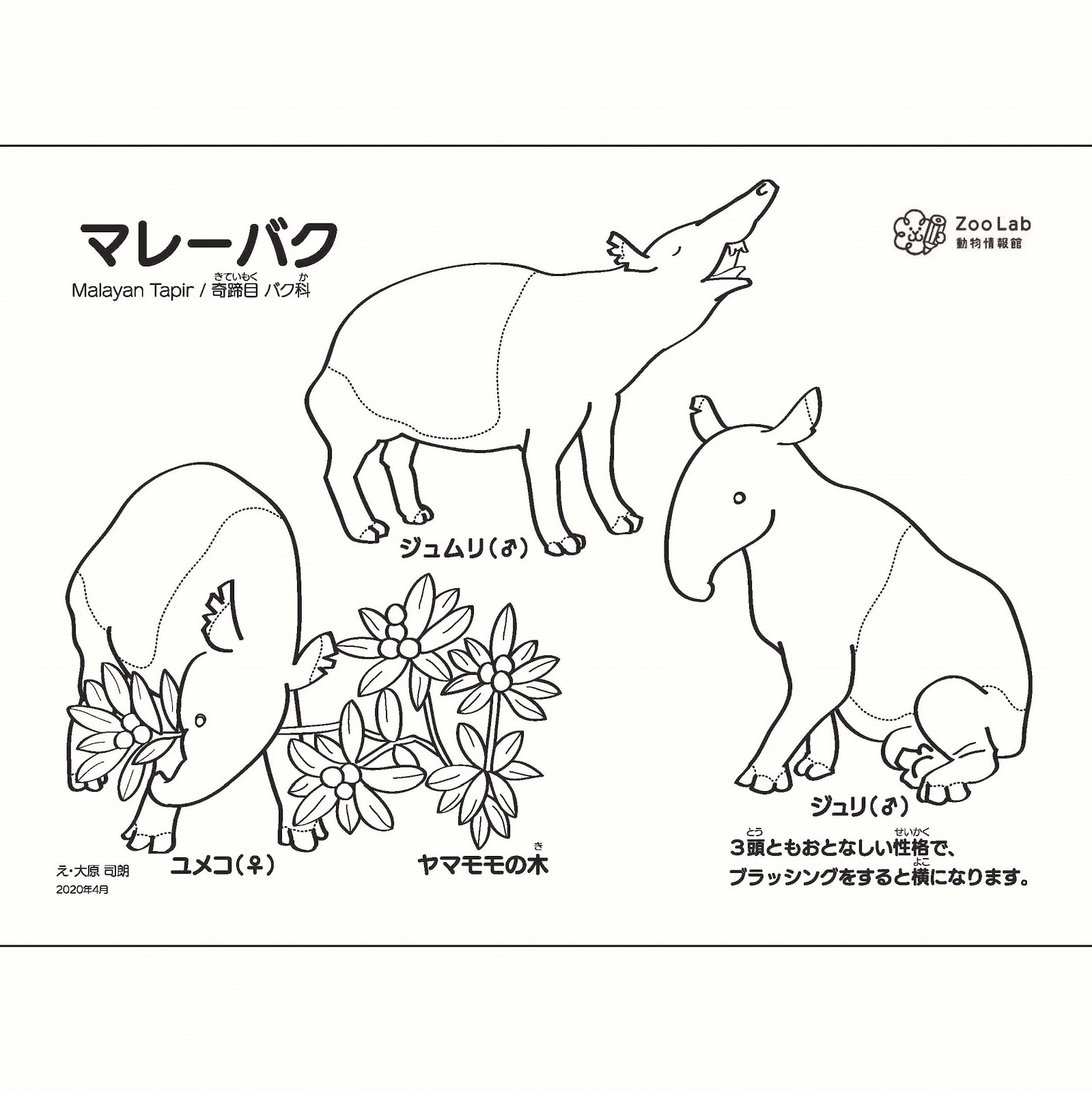 動物情報館zoolab 今週末のおでかけ ない 情報 にどうぶつぬりえ掲載