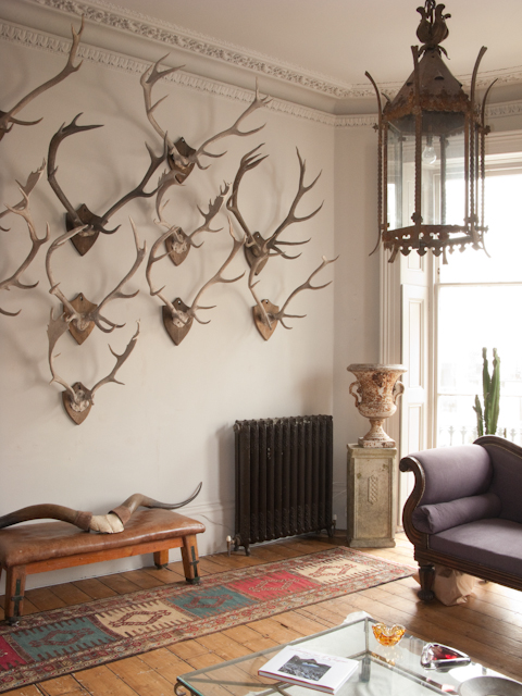 decorating with antlers