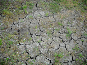 Lack of rain causing parts of White Rock Lake, Dallas TX to crack