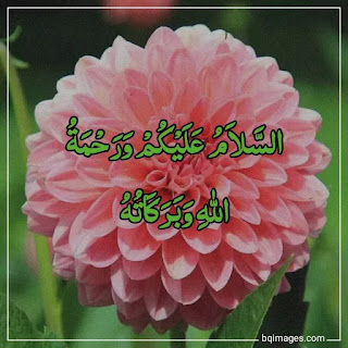 beautiful assalamualaikum image