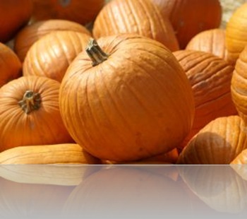 1089296_pumpkins