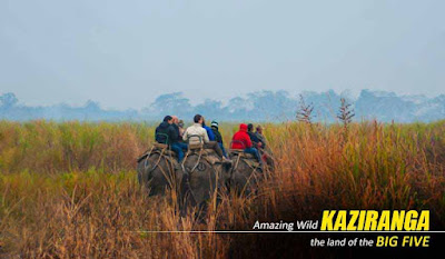 Amazing Kaziranga Elephant Safari with NatureWings