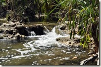 mataranka fall1