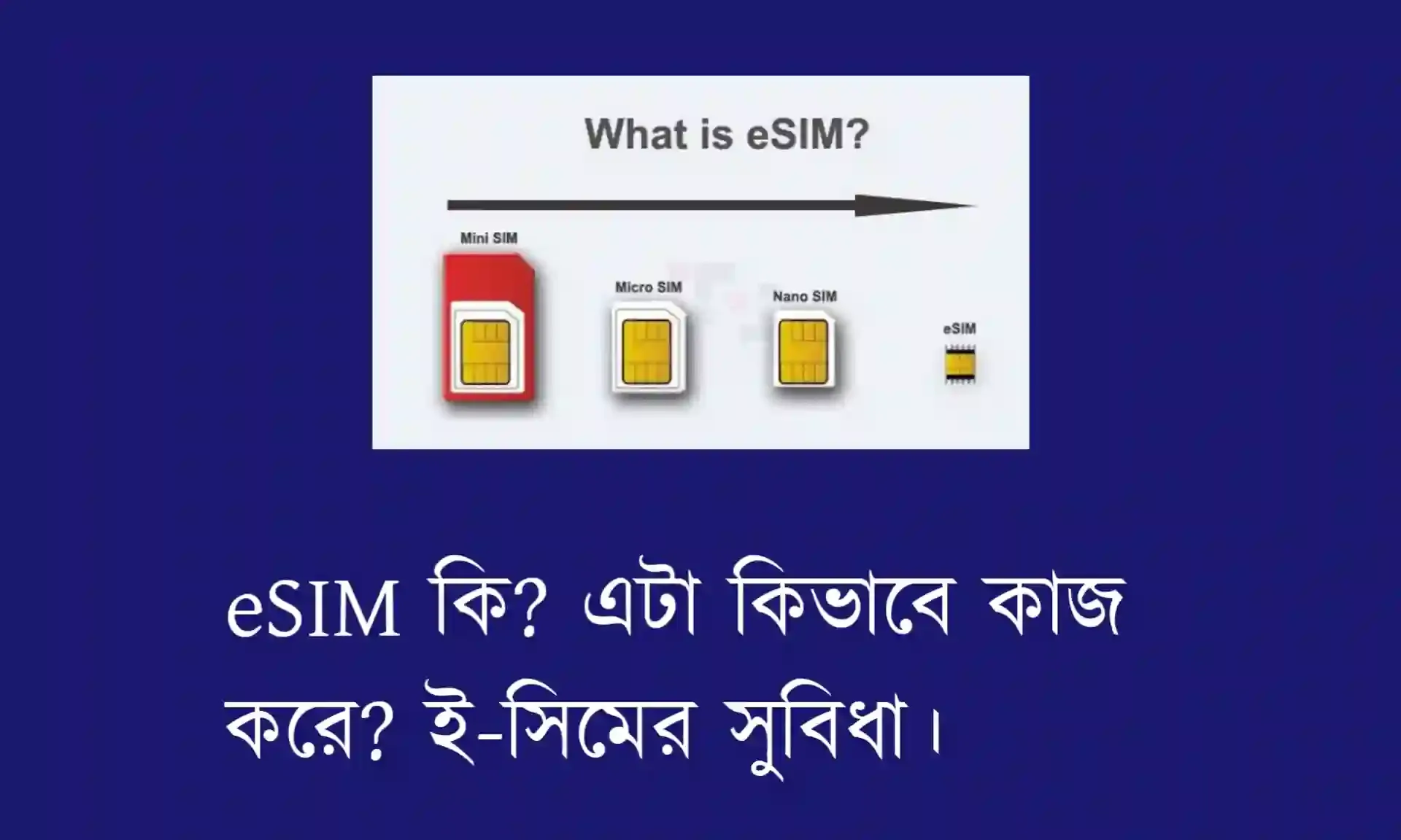 eSIM কি