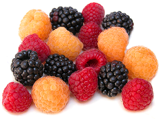 Rahasia di balik khasiat buah berry