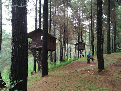 Rumah pohon taman dayu