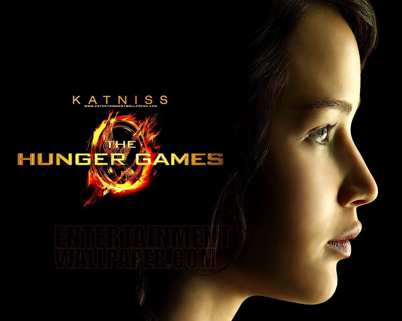 the hunger games who s excited i started reading the hunger games ...