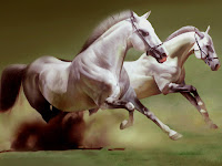 Two White Horses Running Painting For Wall Decoration