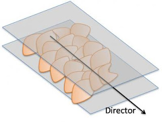 Graphene oxide flakes