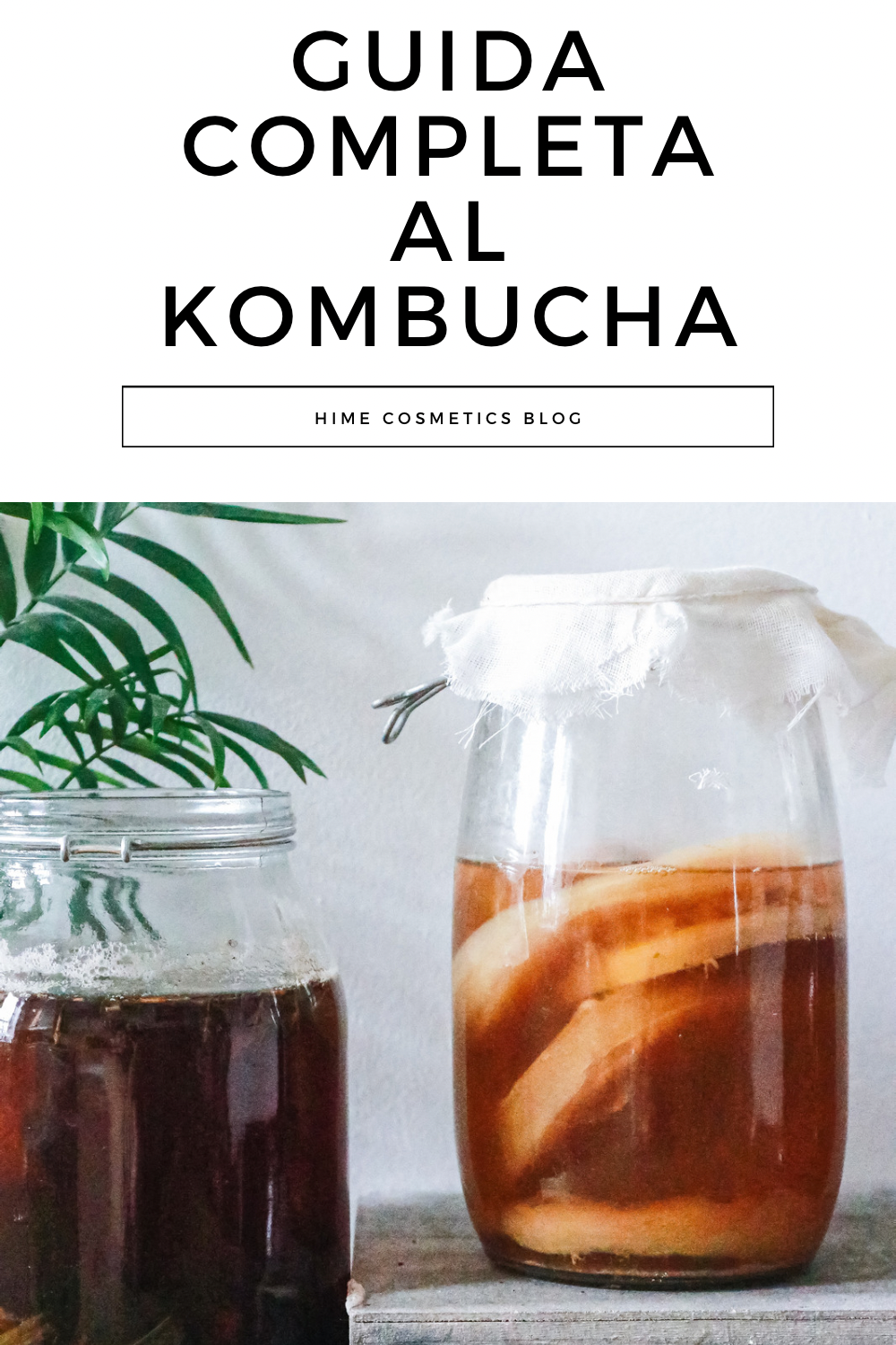 Guida completa kombucha