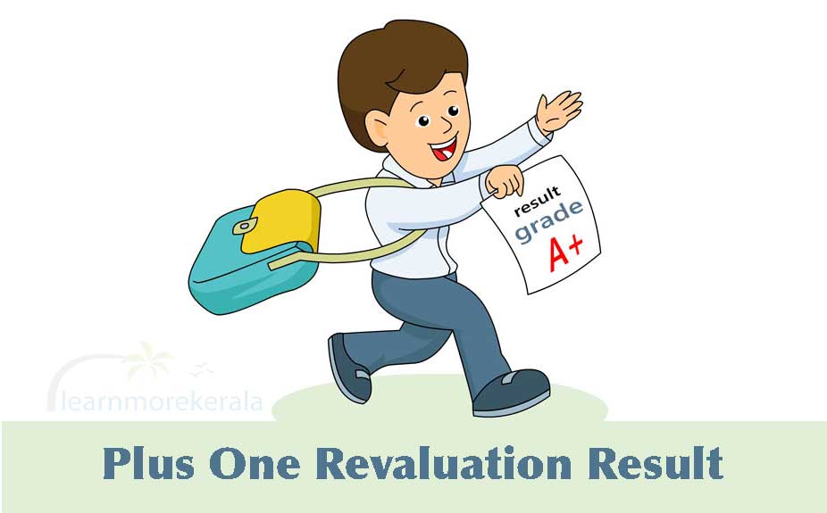 plus one revaluation result 2019
