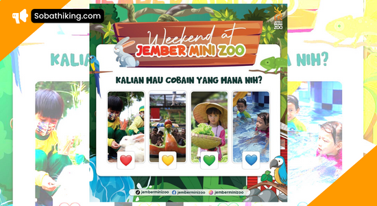 Jember Mini Zoo, Wisata Edukasi Keluarga merupakan destinasi kebun binatang yang menghadirkan berbagai wahana permainan menyenangan
