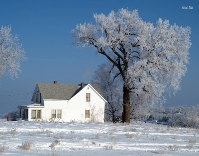 Casa unifamiliar en el campo