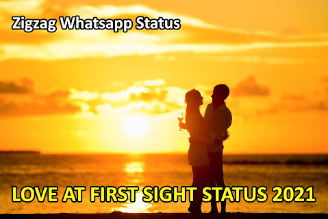 LOVE AT FIRST SIGHT STATUS VIDEO 2021