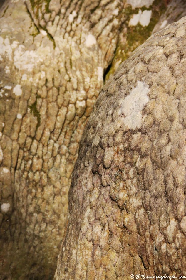 desquamations polygonales des grès de Fontainebleau, Apremont Dames, (C) 2015 Greg Clouzeau