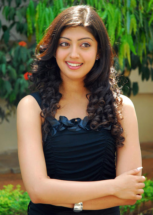 praneetha exclusivie telungu movie bava praneetha actress pics