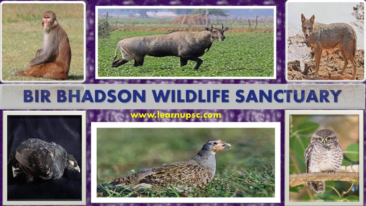 Bir Bhadson Wildlife Sanctuary