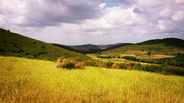 A Beautiful View of Nature at Damanjodi
