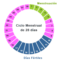 como puedes salir embarazada