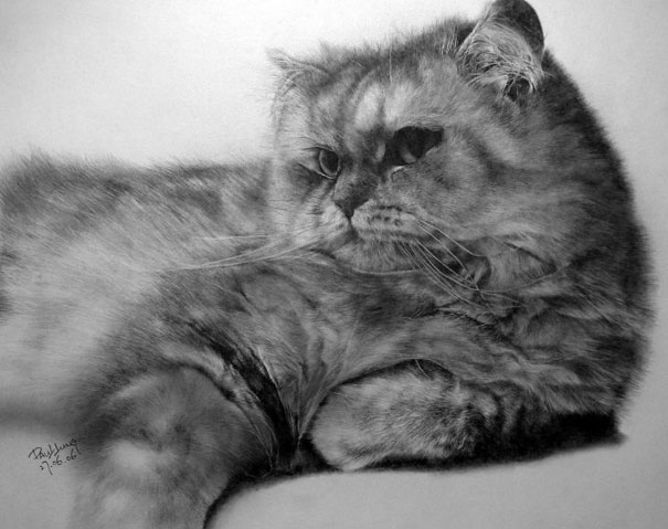 Bila gambar  bersuara Lukisan Kucing yang sangat detail