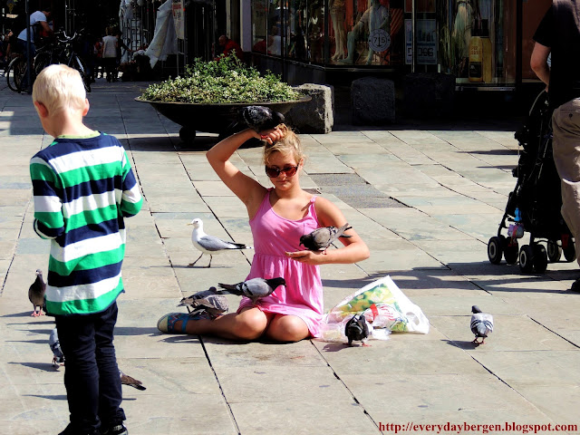 Pigeons whisperer