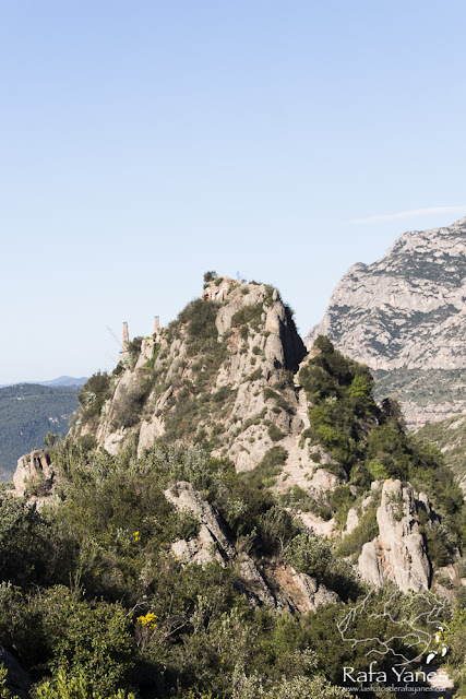 Ruta: Puig Cendrós  (499 m) y Sant Salvador de les Espases (413 m) (Els 100 Cims)