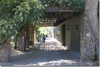 IMG_0513 IMG_0513